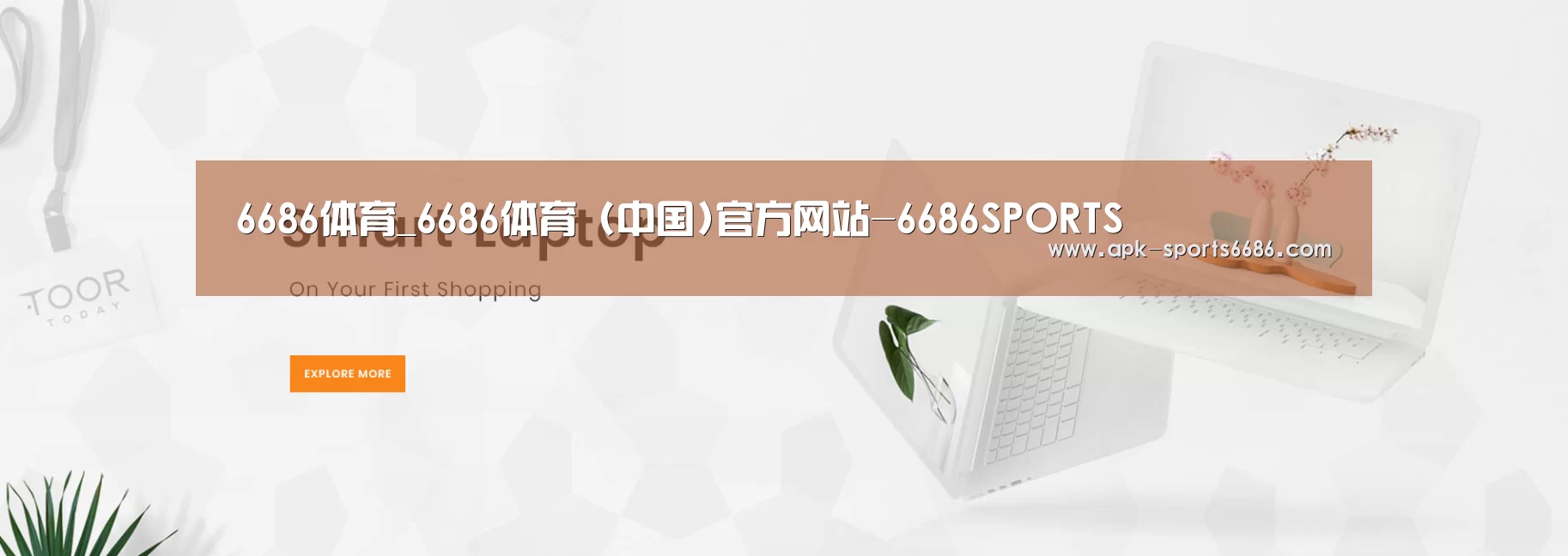 某某网络科技有限公司
